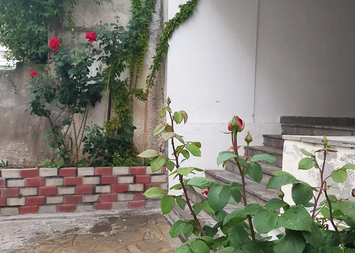 The Siblings Apartament